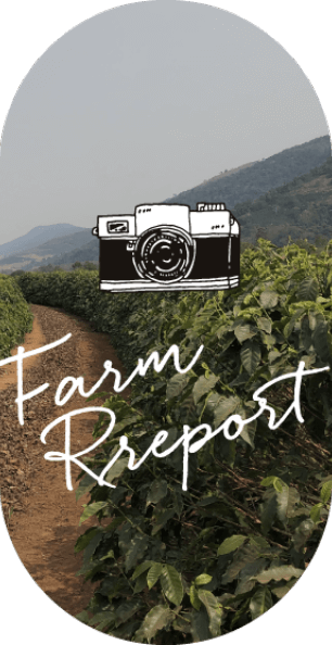 農園レポート